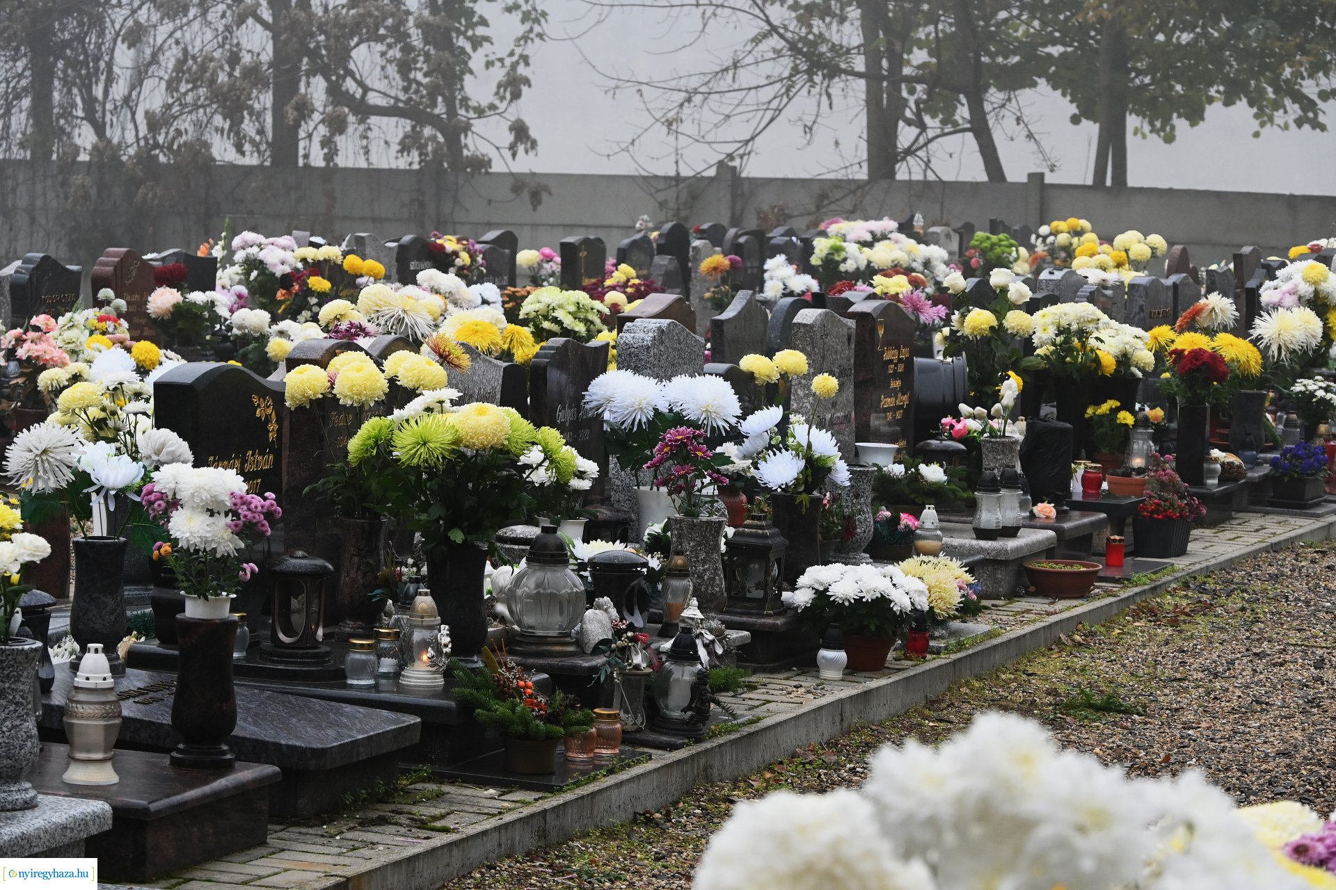 Virágözön az Északi temetőben
