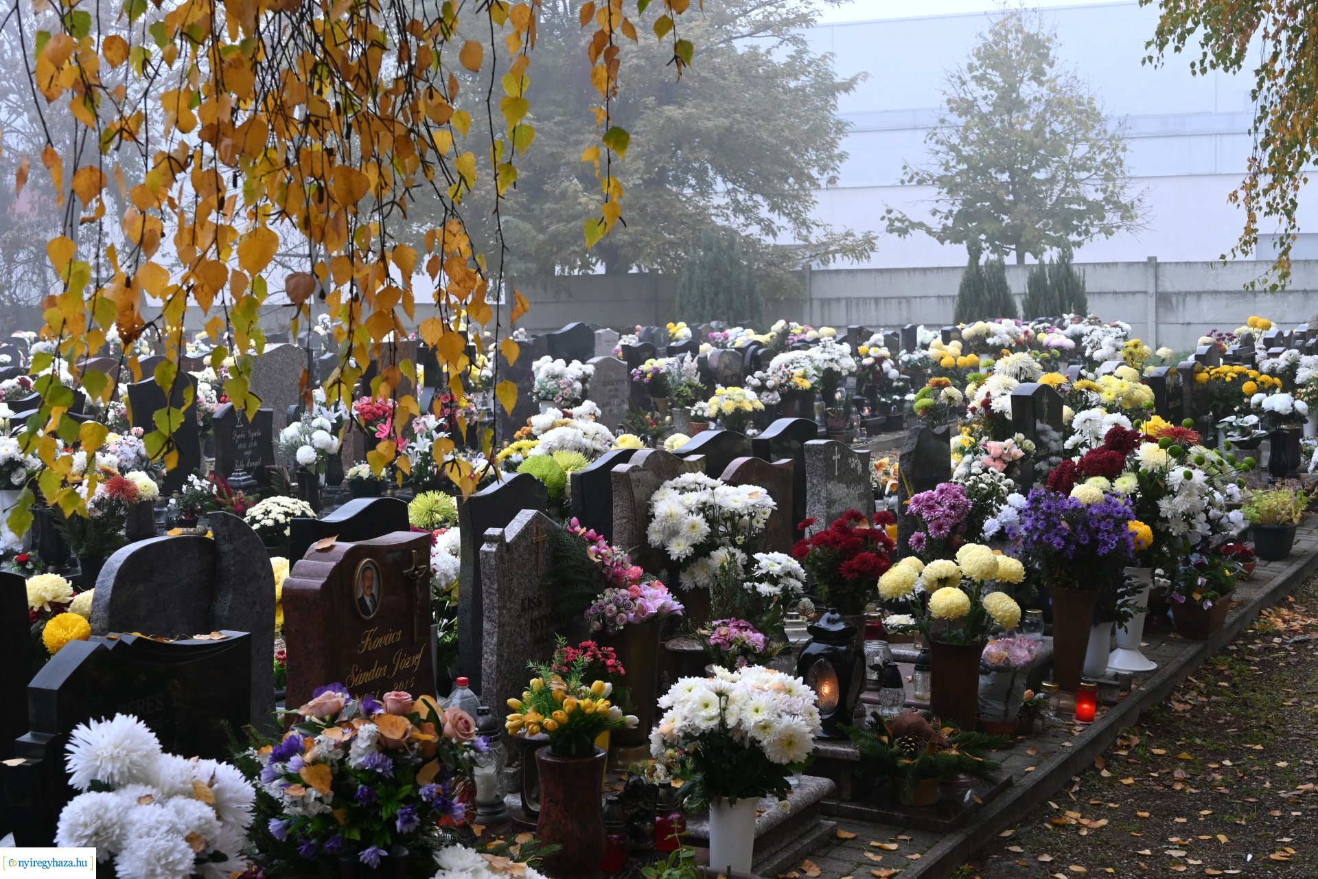 Virágözön az Északi temetőben