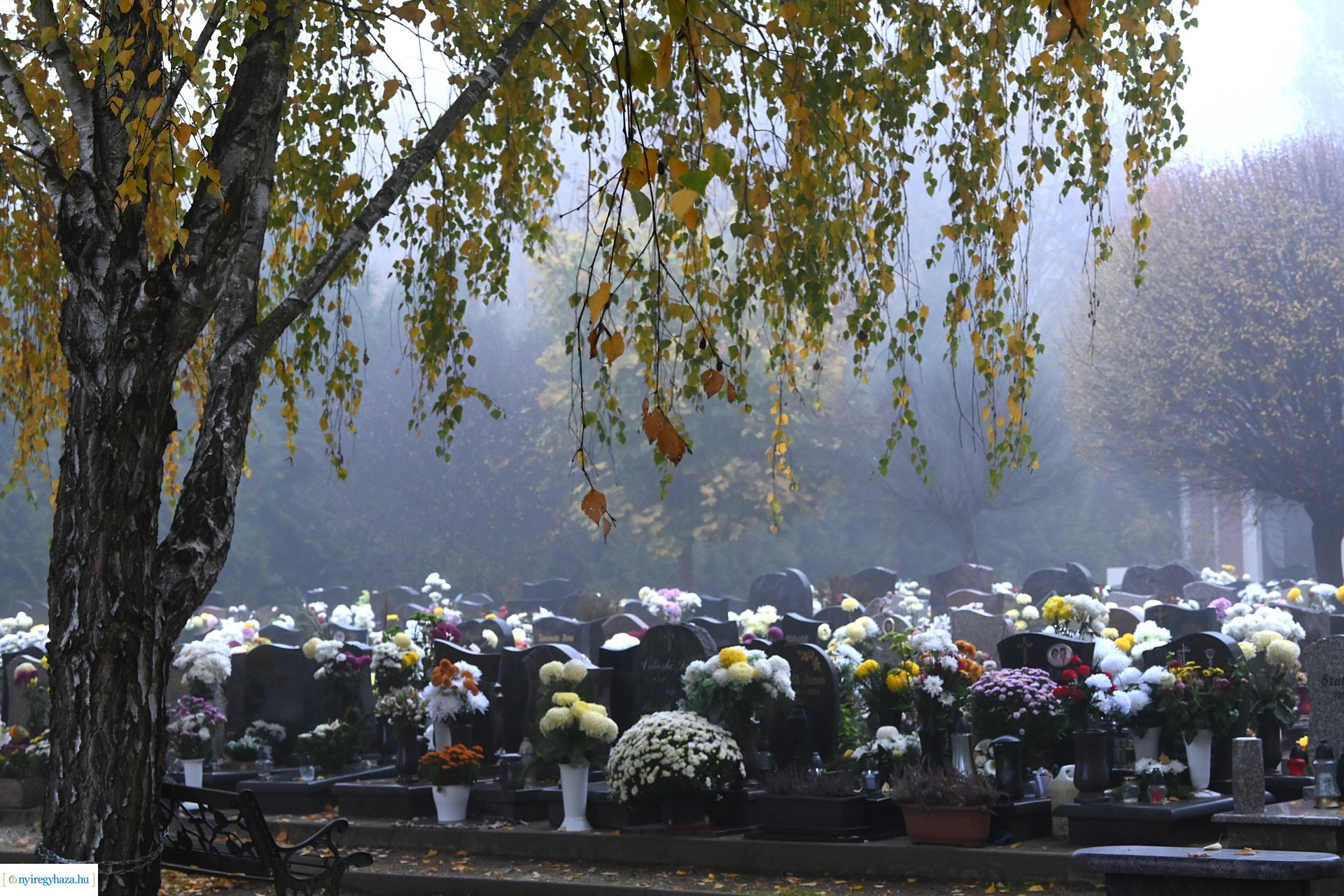 Virágözön az Északi temetőben