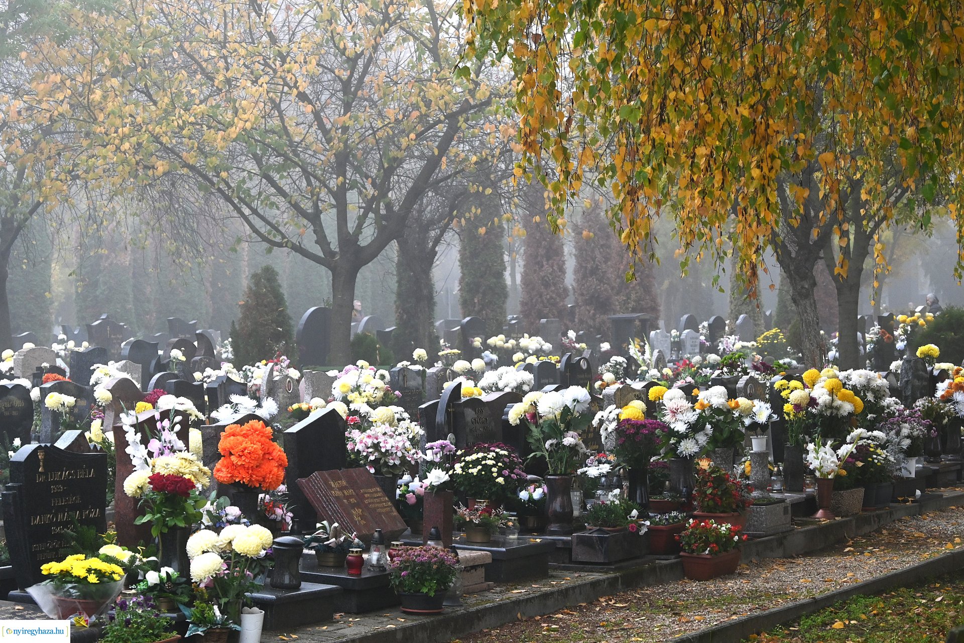 Virágözön az Északi temetőben