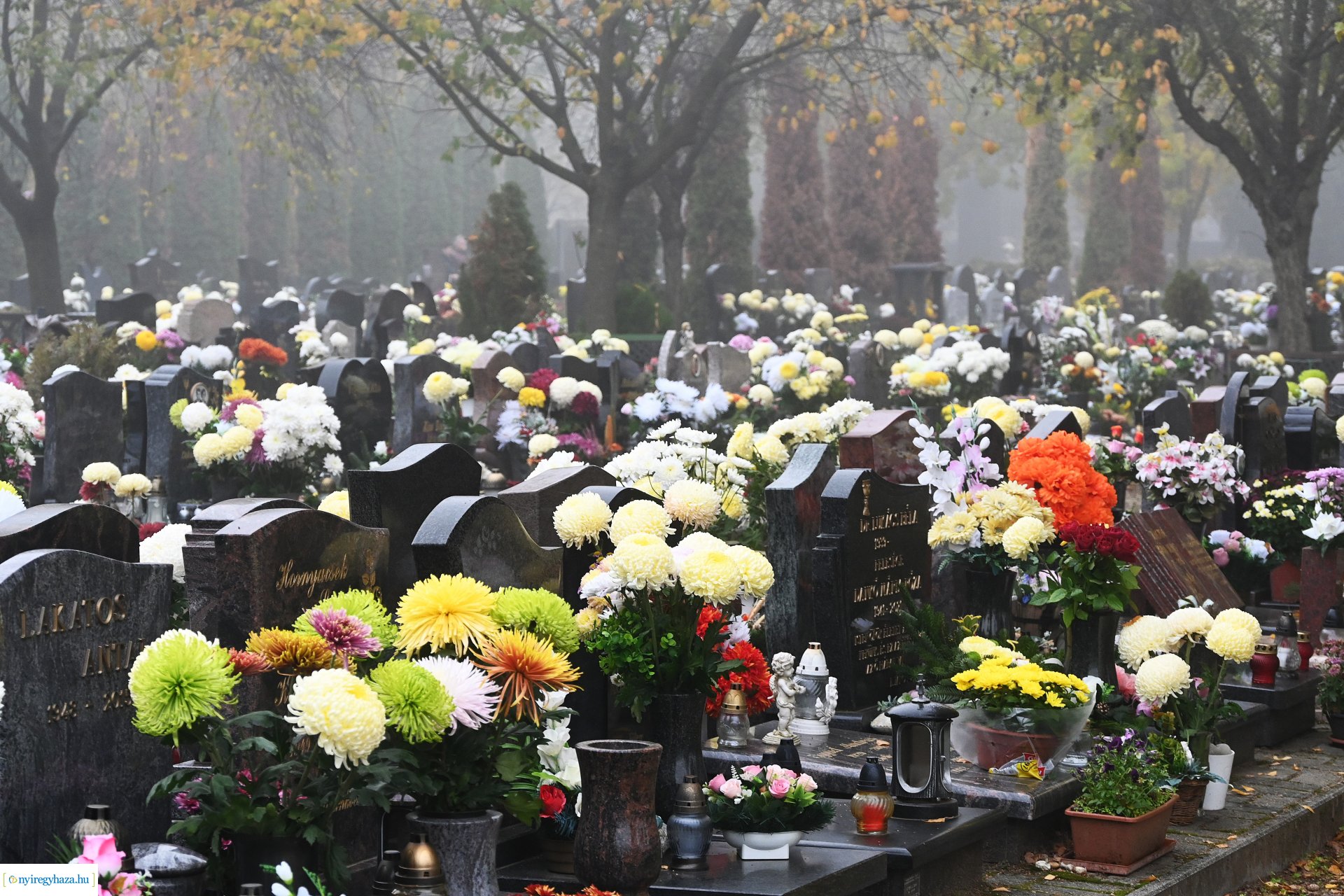Virágözön az Északi temetőben