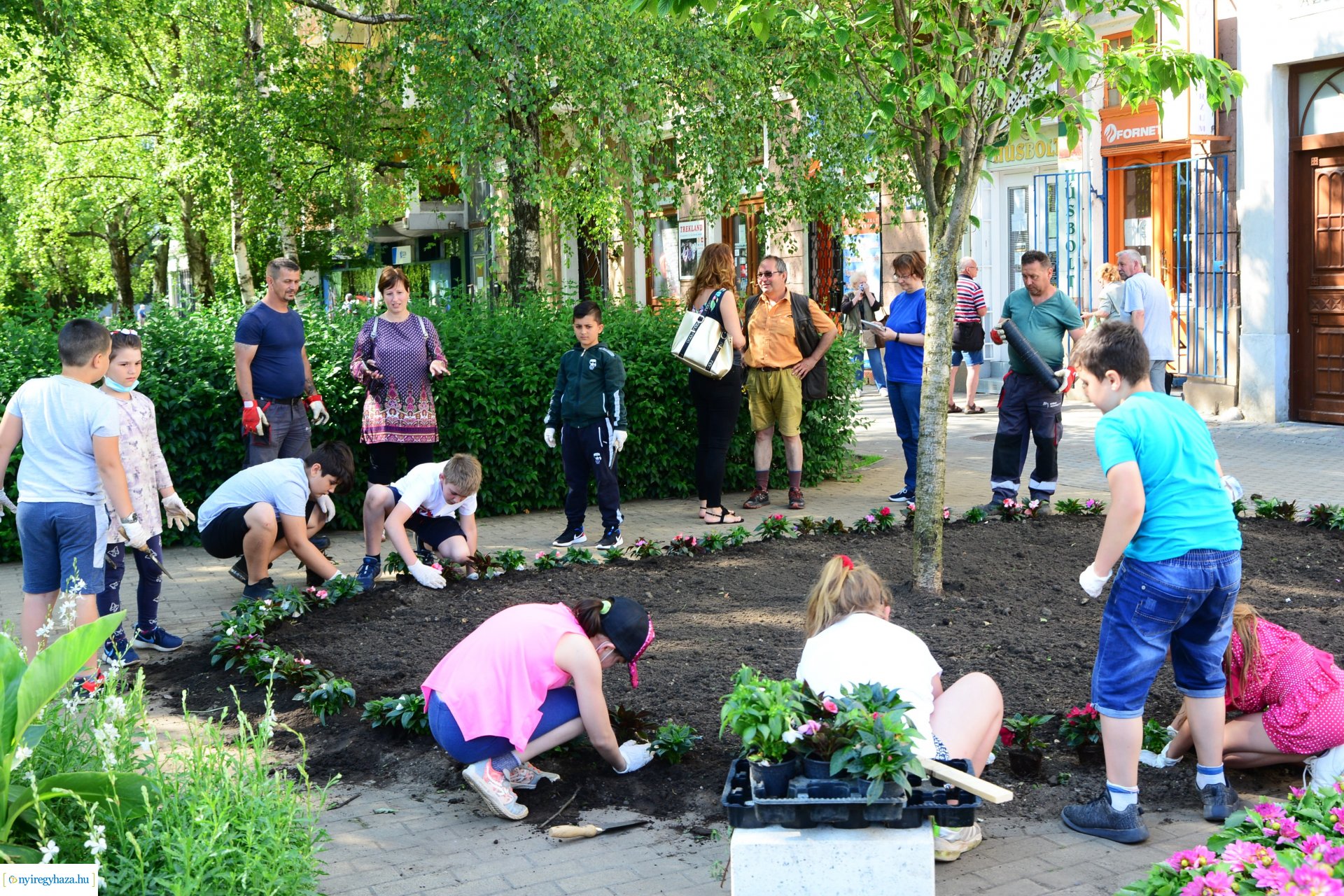 Virágültetés a belvárosban az ÖKOSULI program keretében