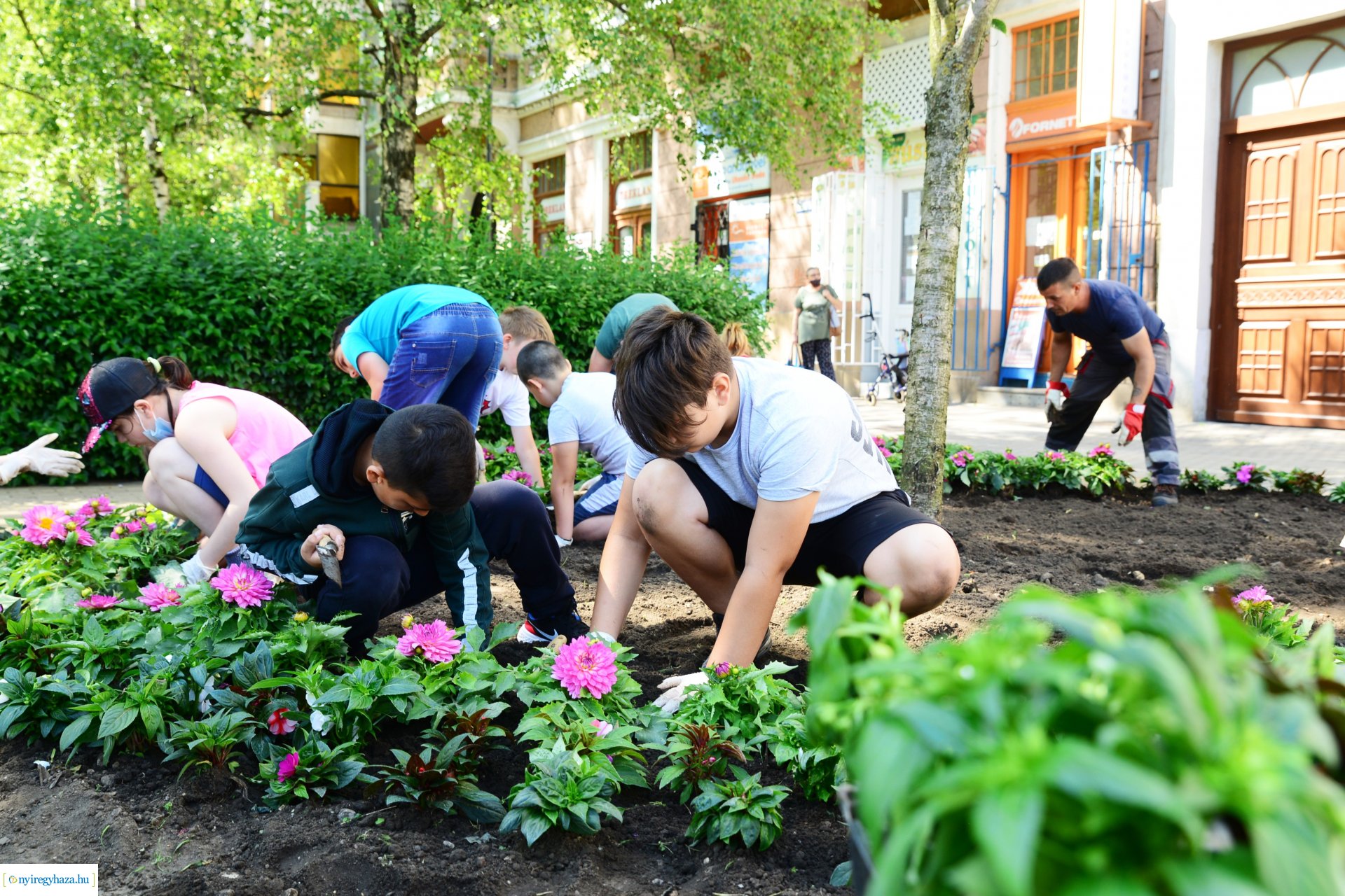 Virágültetés a belvárosban az ÖKOSULI program keretében