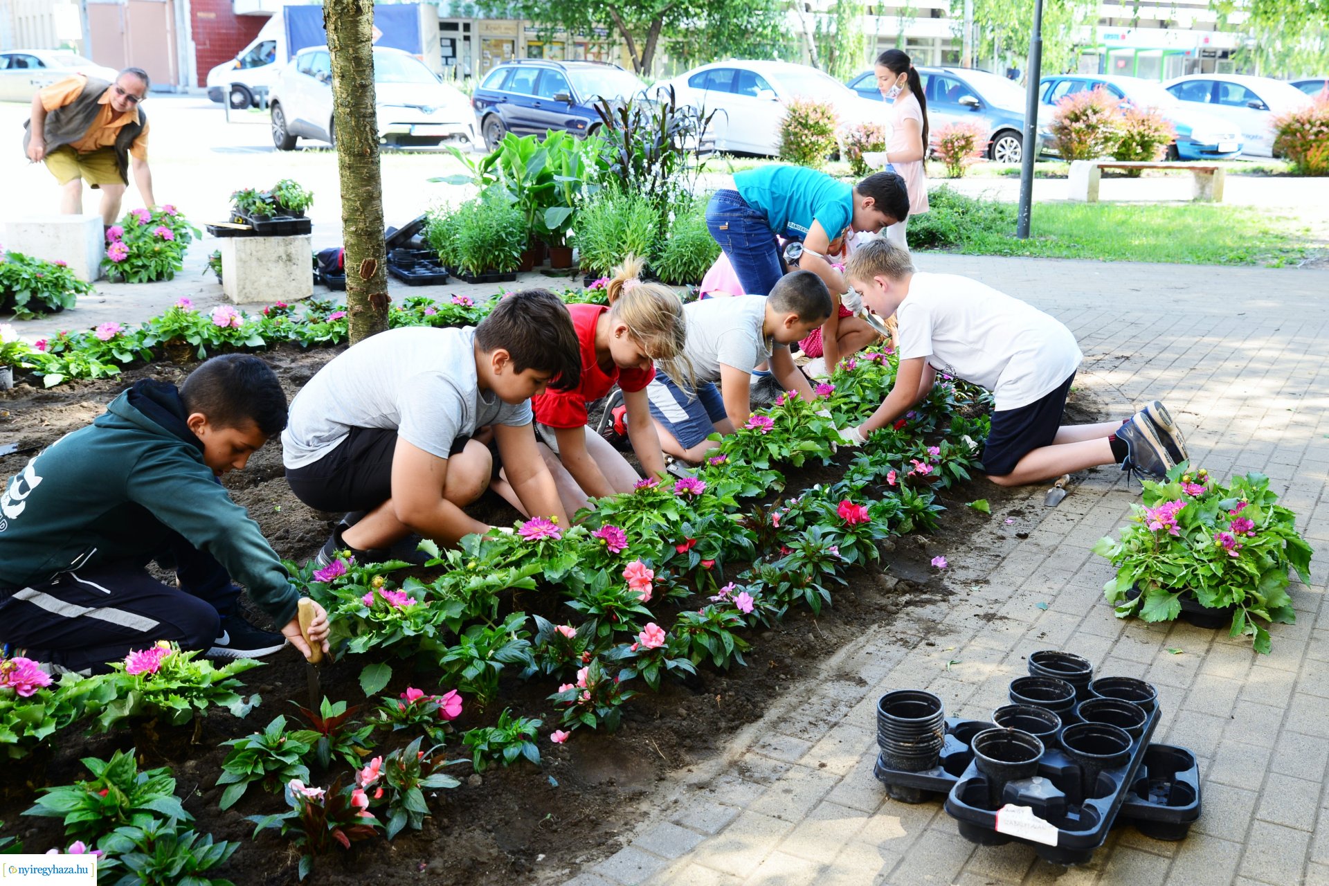 Virágültetés a belvárosban az ÖKOSULI program keretében