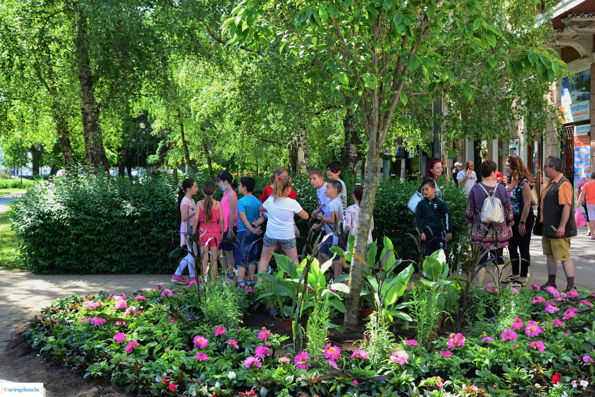 Virágültetés a belvárosban az ÖKOSULI program keretében