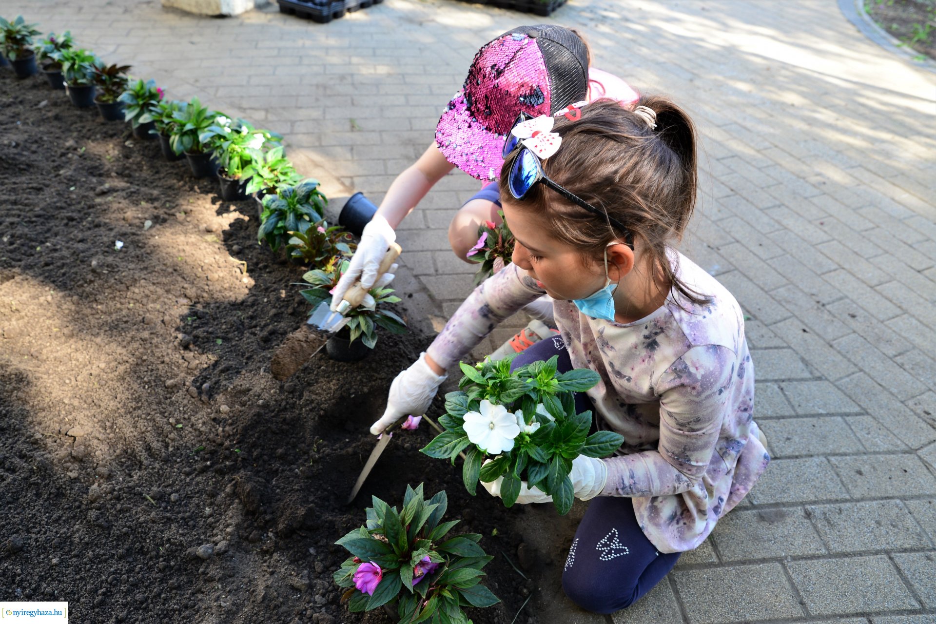 Virágültetés a belvárosban az ÖKOSULI program keretében