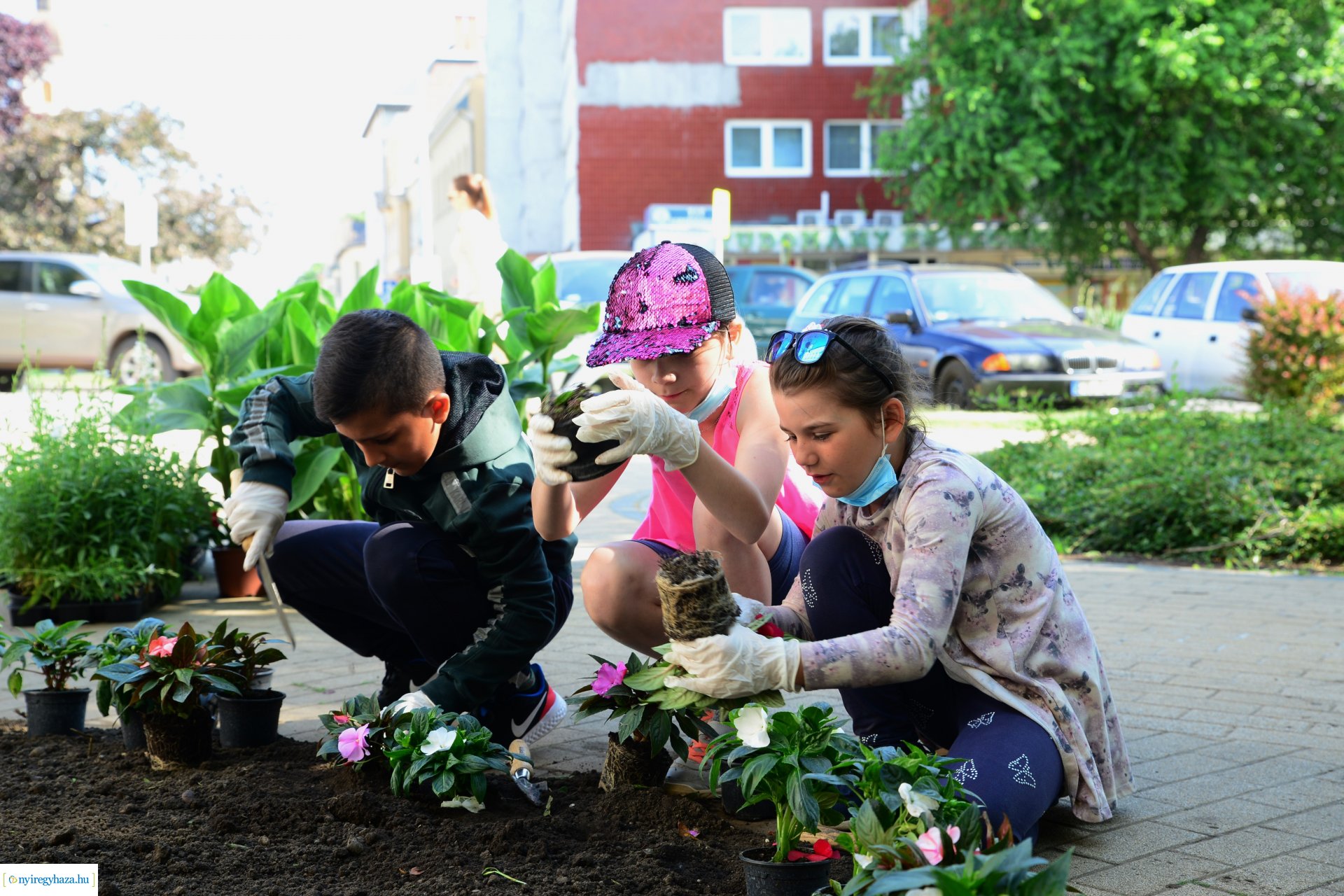 Virágültetés a belvárosban az ÖKOSULI program keretében