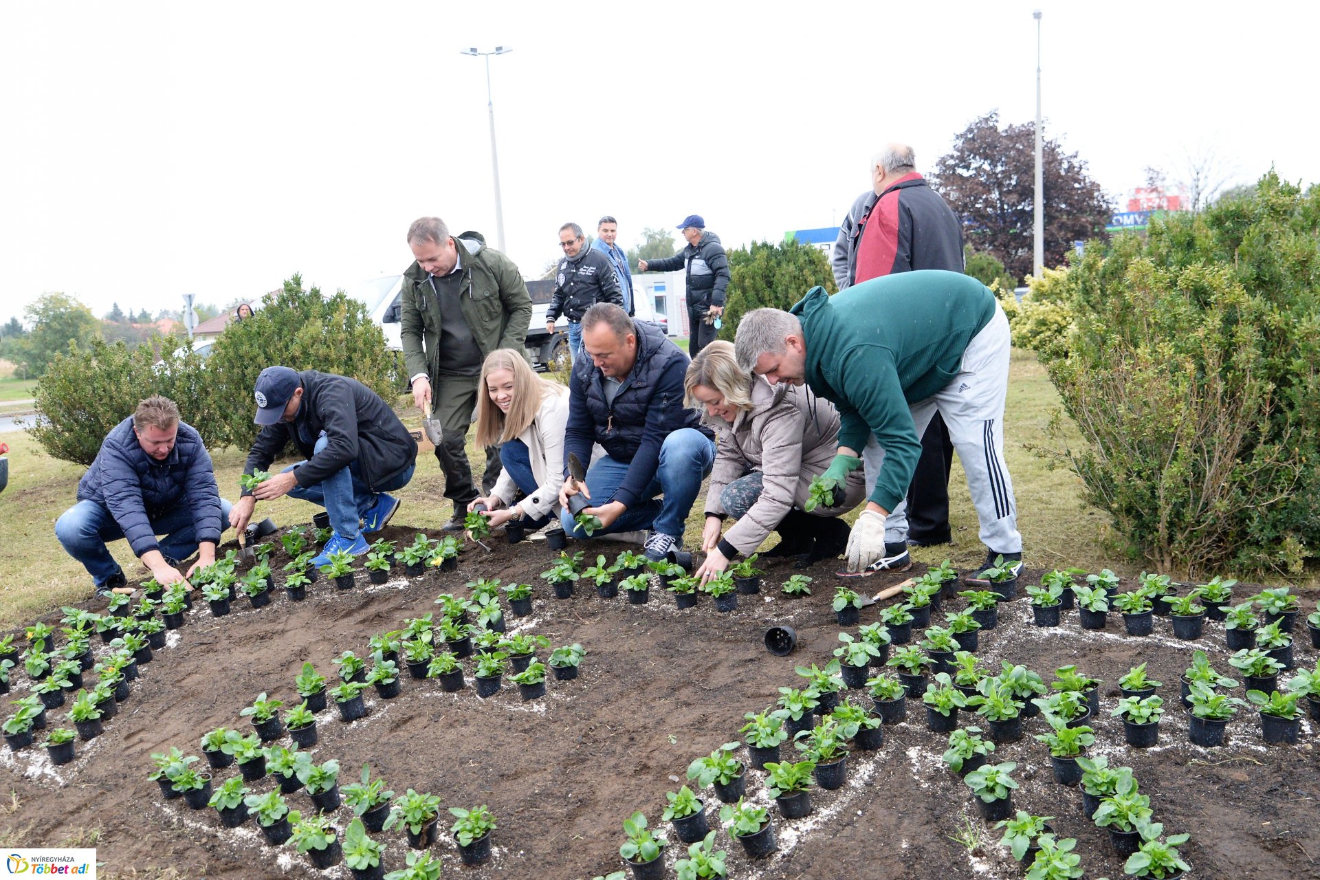 Virágültetés a Kertvárosban