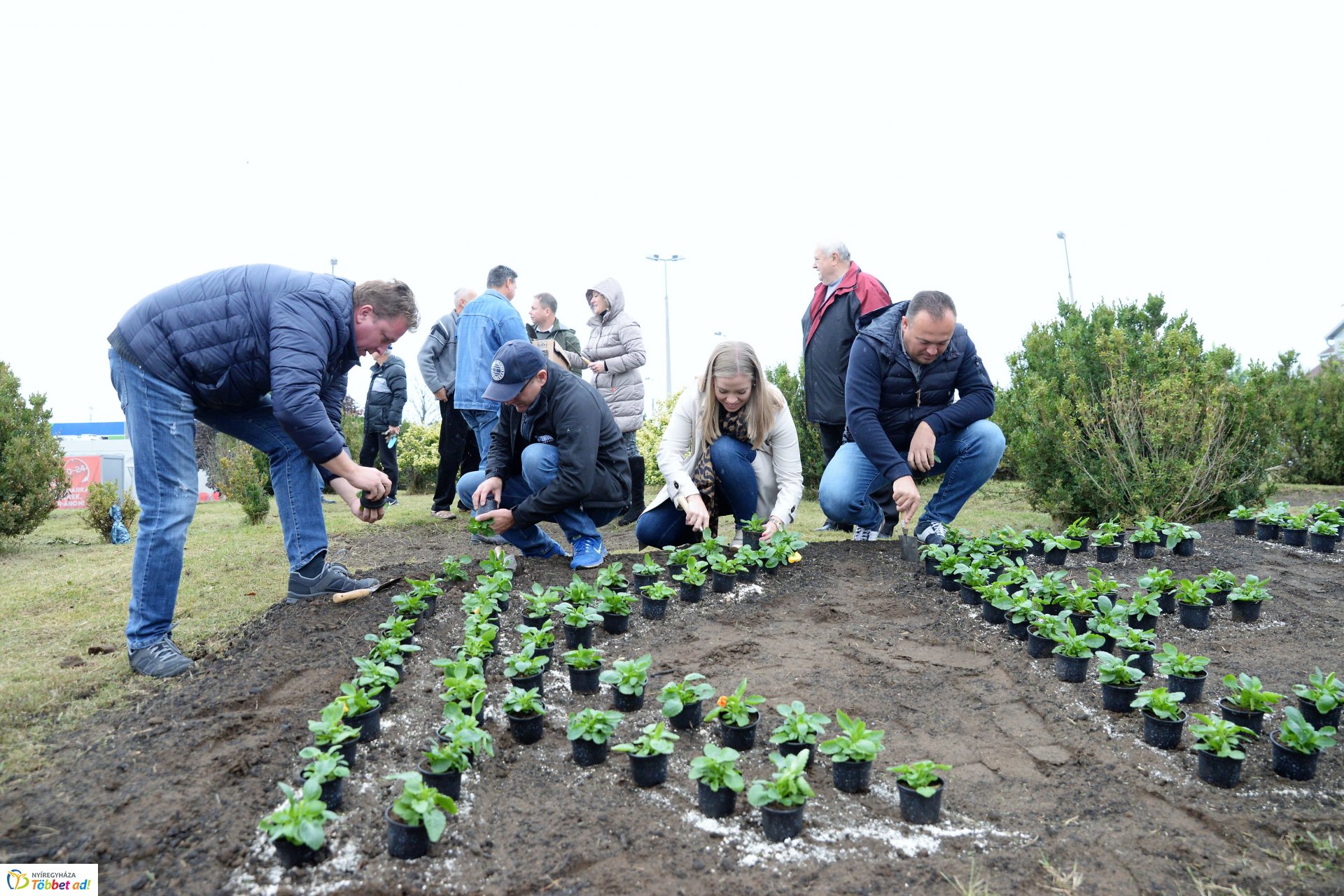 Virágültetés a Kertvárosban
