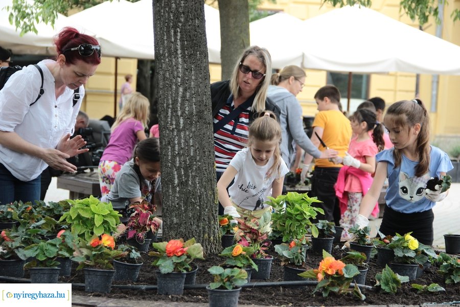 Virágültetés a Kossuth téren 20230530