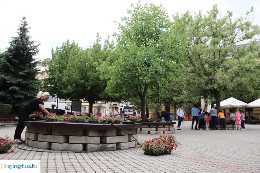Virágültetés a Kossuth téren 20230530