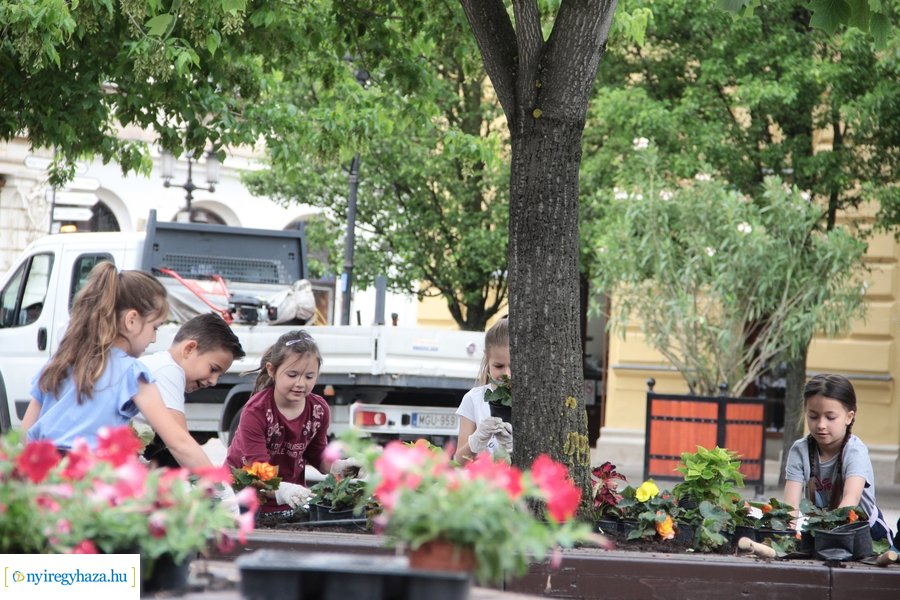 Virágültetés a Kossuth téren 20230530