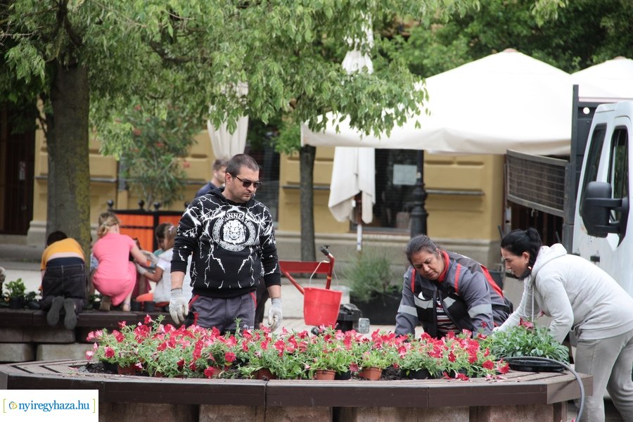 Virágültetés a Kossuth téren 20230530