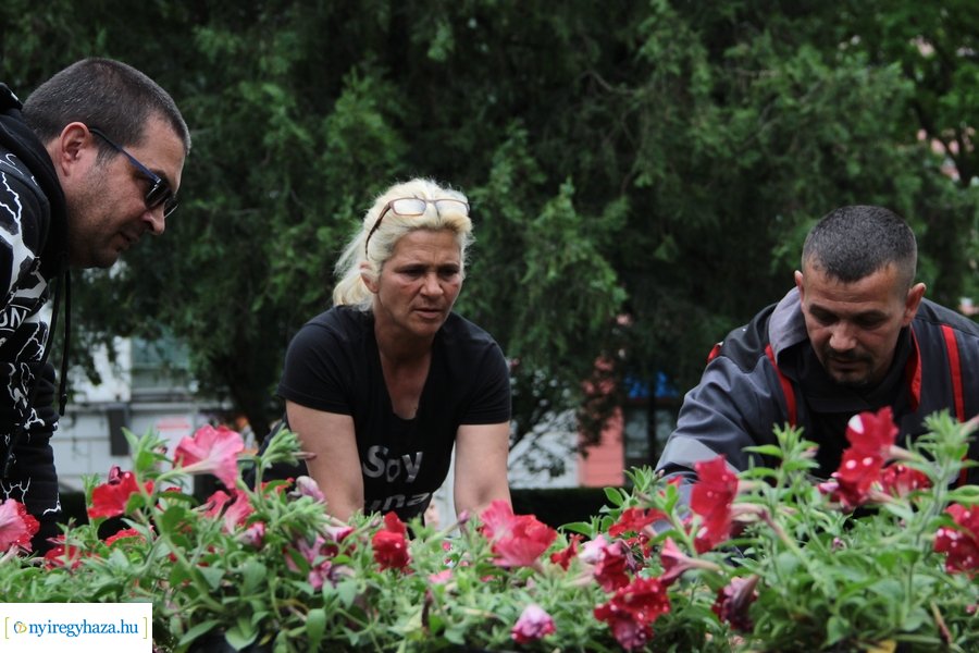 Virágültetés a Kossuth téren 20230530