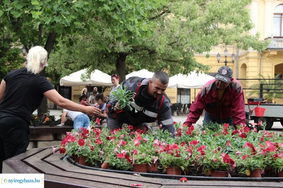 Virágültetés a Kossuth téren 20230530