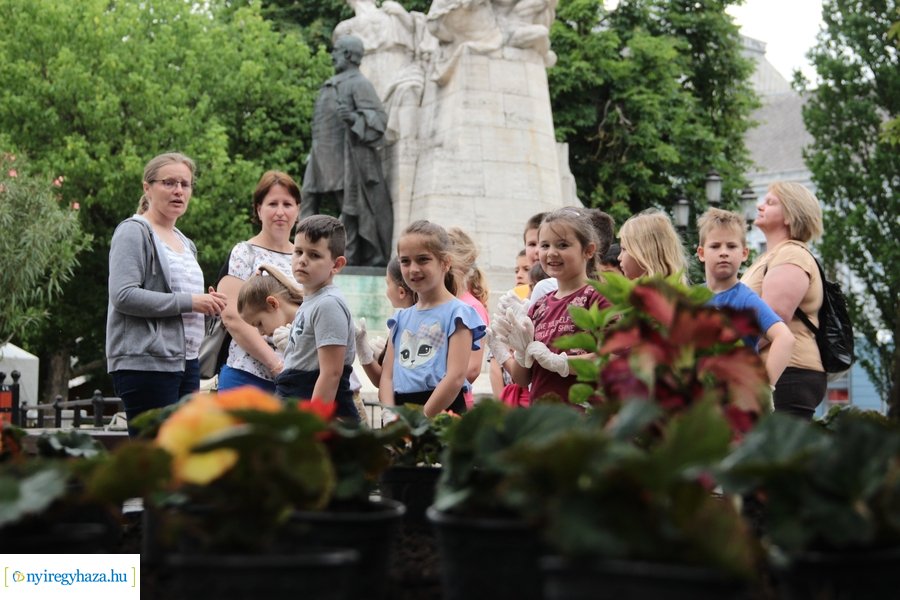 Virágültetés a Kossuth téren 20230530