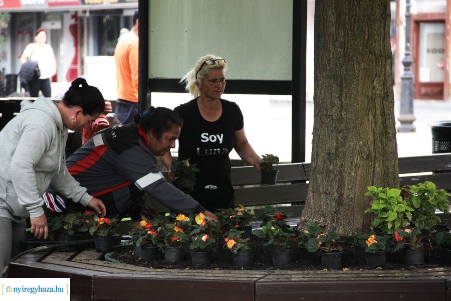Virágültetés a Kossuth téren 20230530