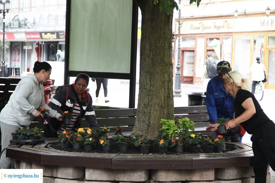 Virágültetés a Kossuth téren 20230530
