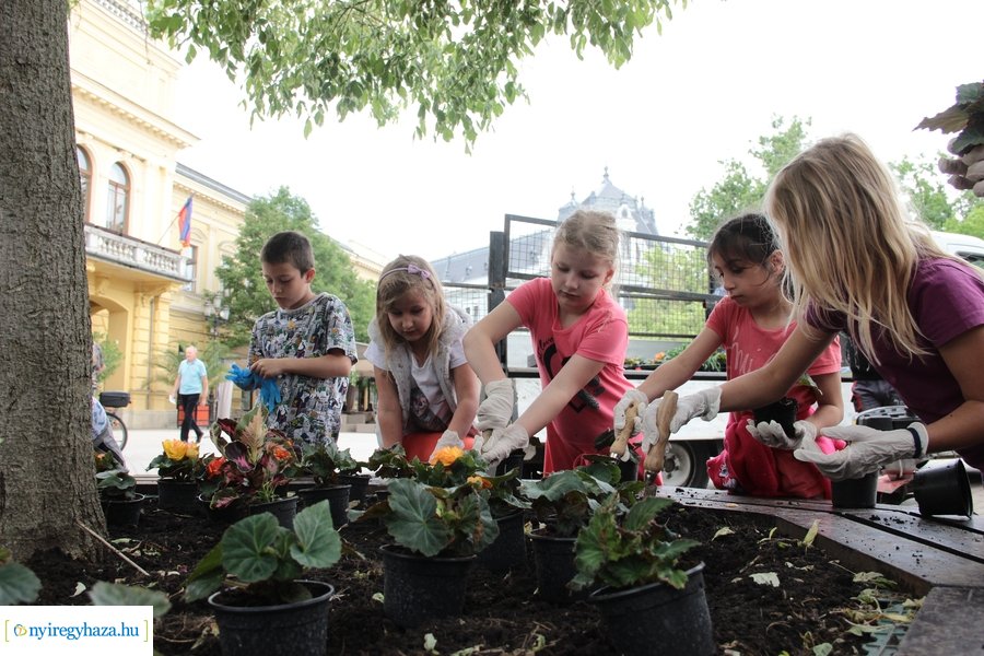 Virágültetés a Kossuth téren 20230530