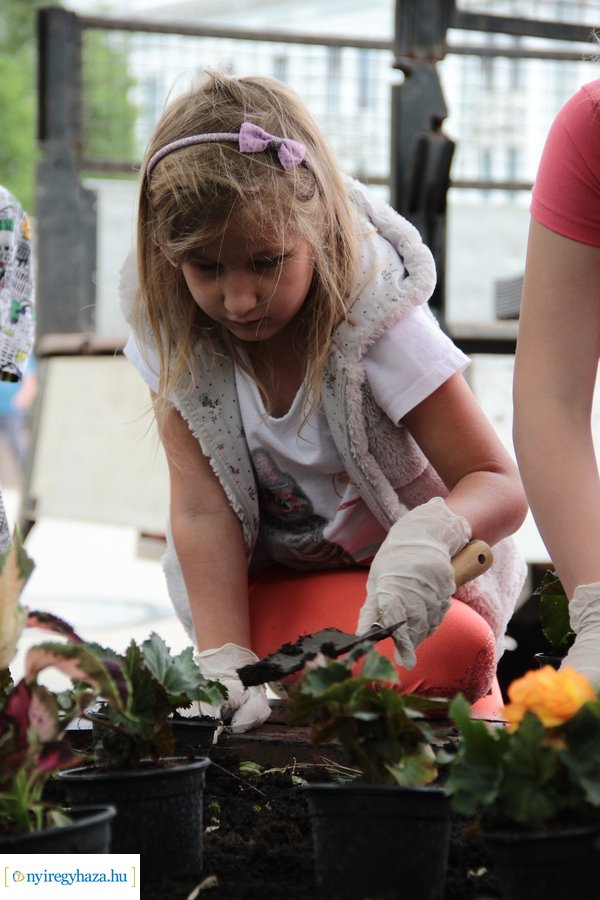 Virágültetés a Kossuth téren 20230530