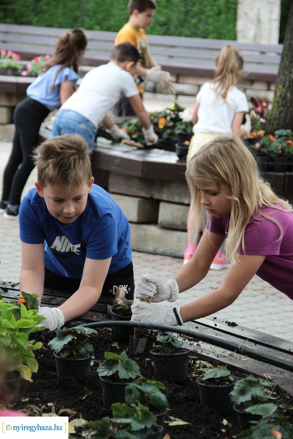 Virágültetés a Kossuth téren 20230530