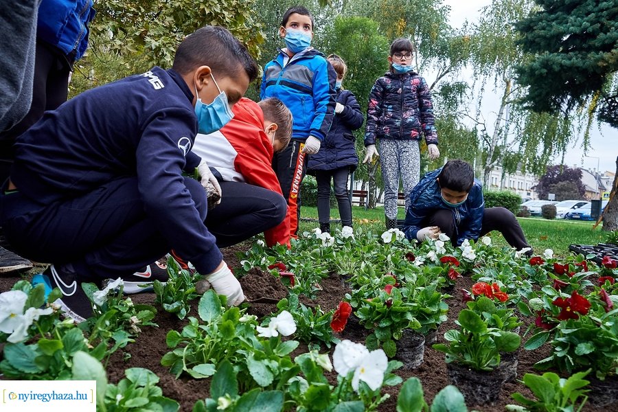 Virágültetés az Országzászló téren - 20201012