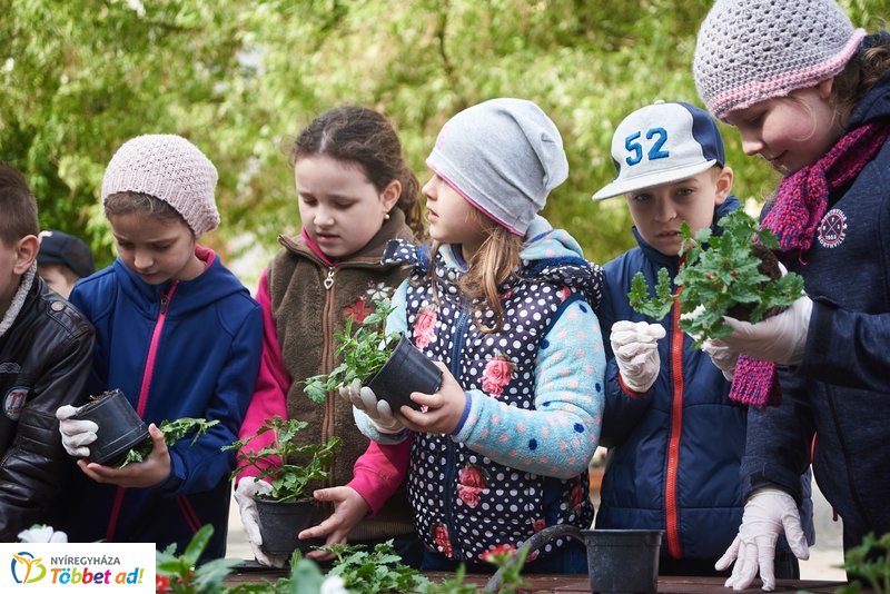 Virágültetés iskolásokkal