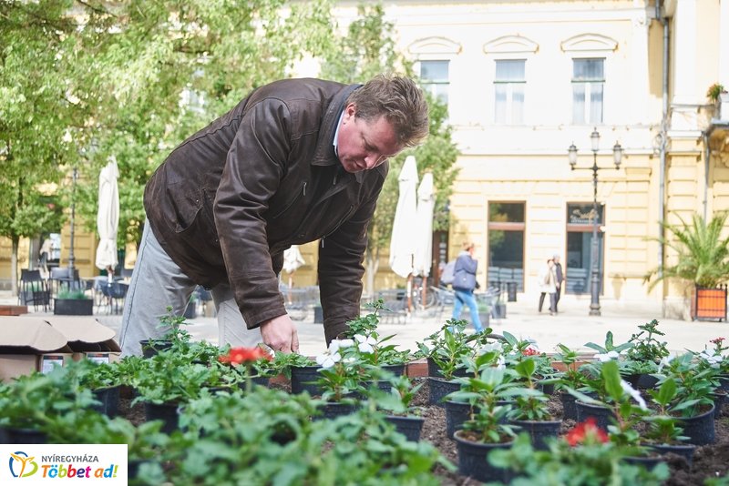 Virágültetés iskolásokkal