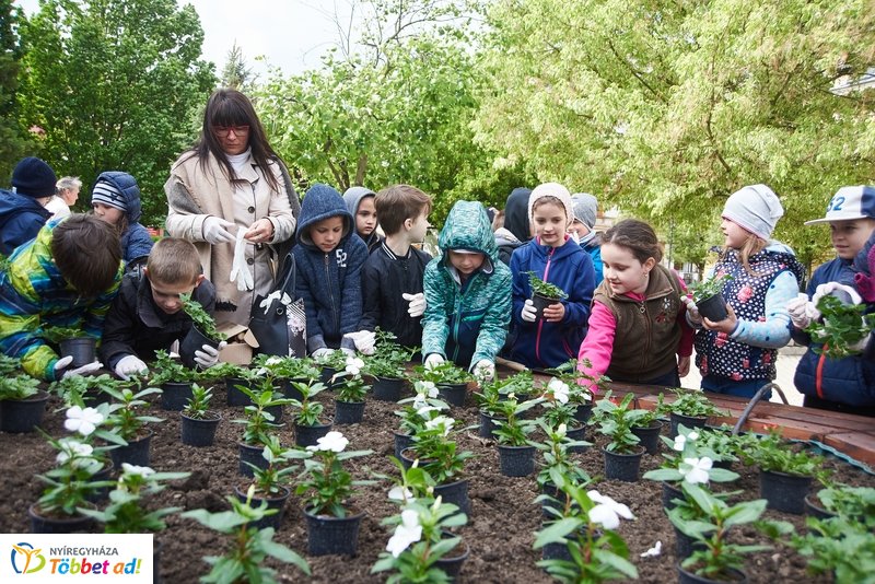 Virágültetés iskolásokkal