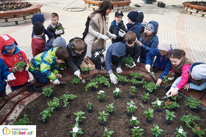 Virágültetés iskolásokkal