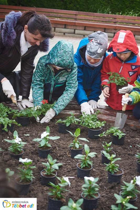 Virágültetés iskolásokkal