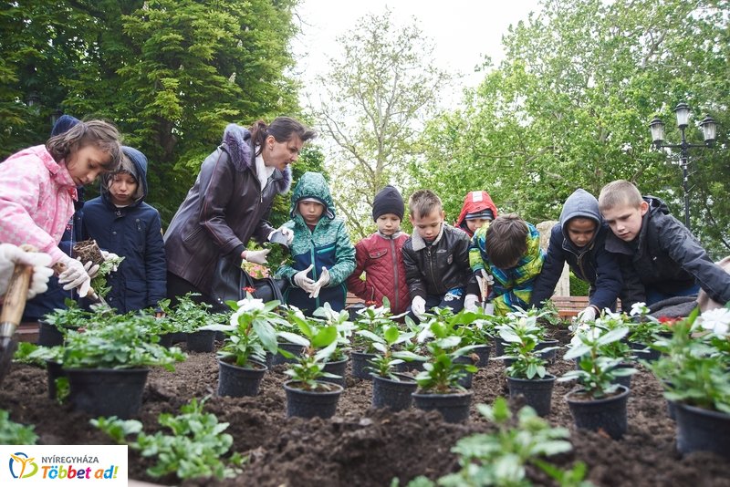 Virágültetés iskolásokkal