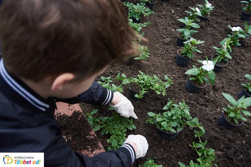 Virágültetés iskolásokkal