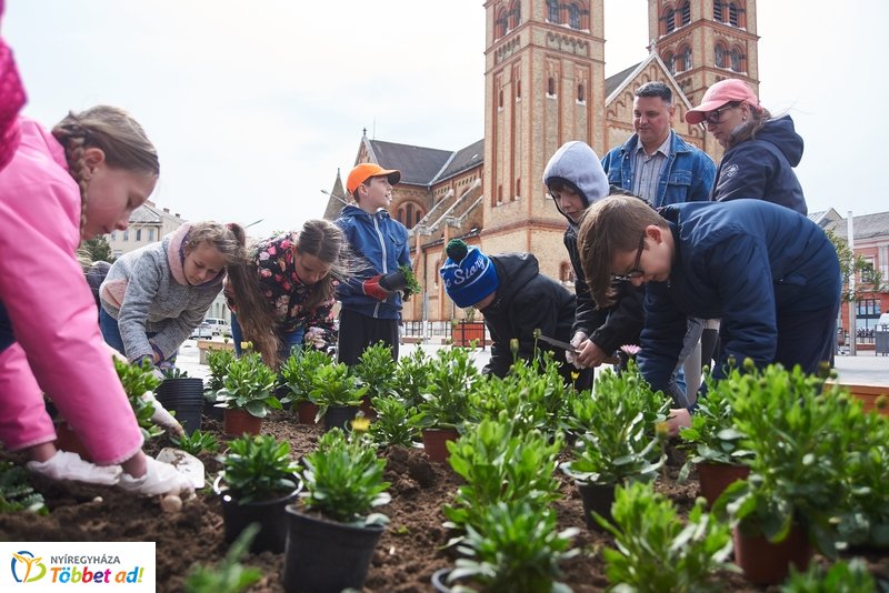 Virágültetés iskolásokkal