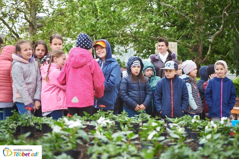 Virágültetés iskolásokkal
