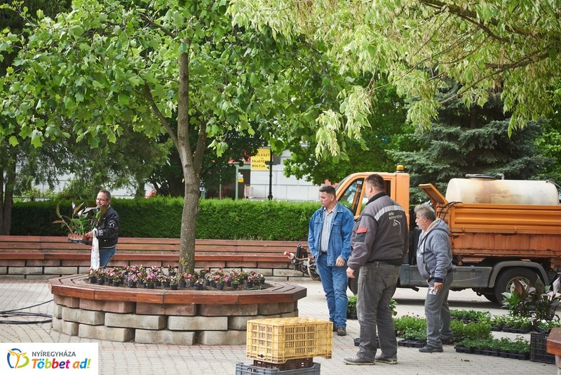 Virágültetés iskolásokkal