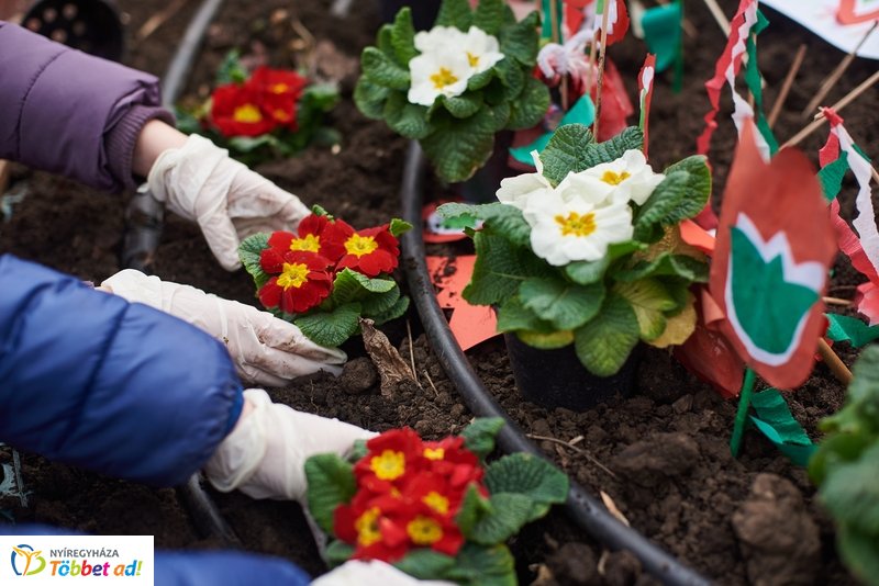 Virágültetés ovisokkal