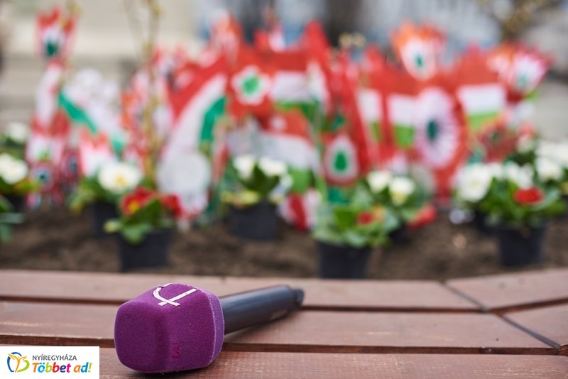 Virágültetés ovisokkal