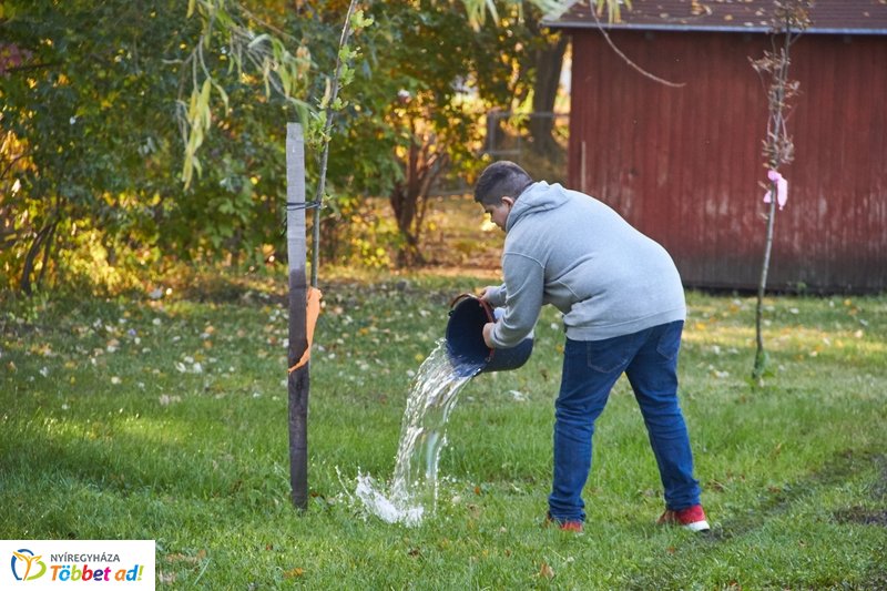 Vizesnyolcas vetélkedő a Bujtosi Városligetben