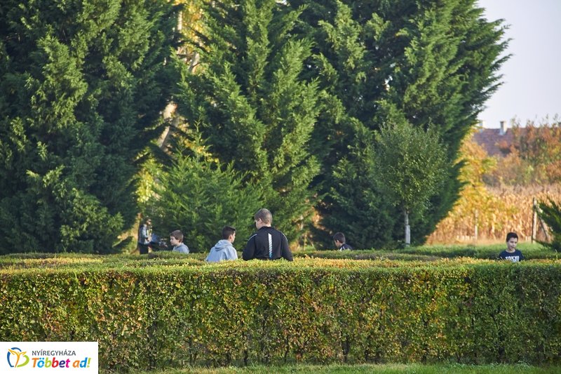 Vizesnyolcas vetélkedő a Bujtosi Városligetben