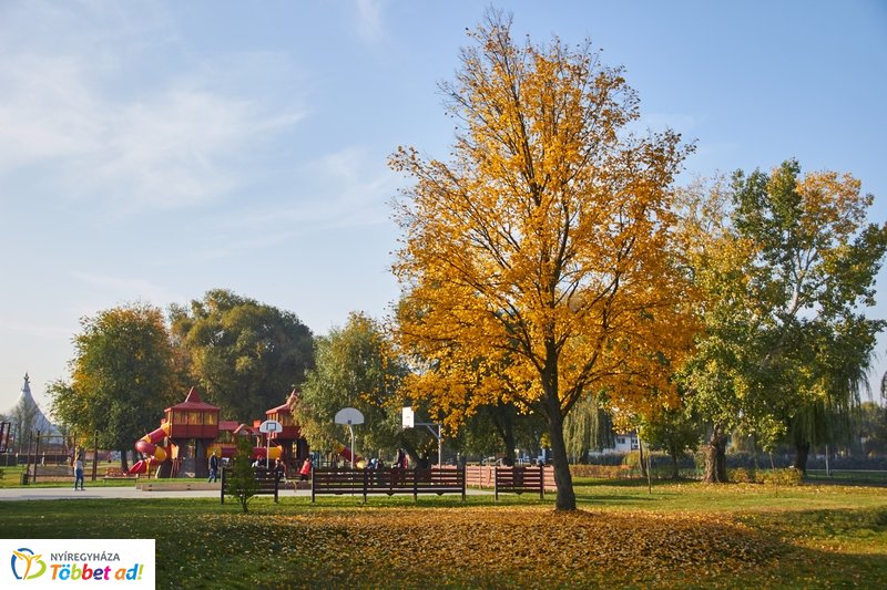 Vizesnyolcas vetélkedő a Bujtosi Városligetben