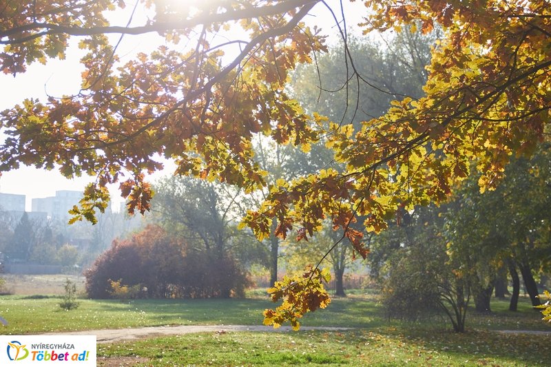 Vizesnyolcas vetélkedő a Bujtosi Városligetben