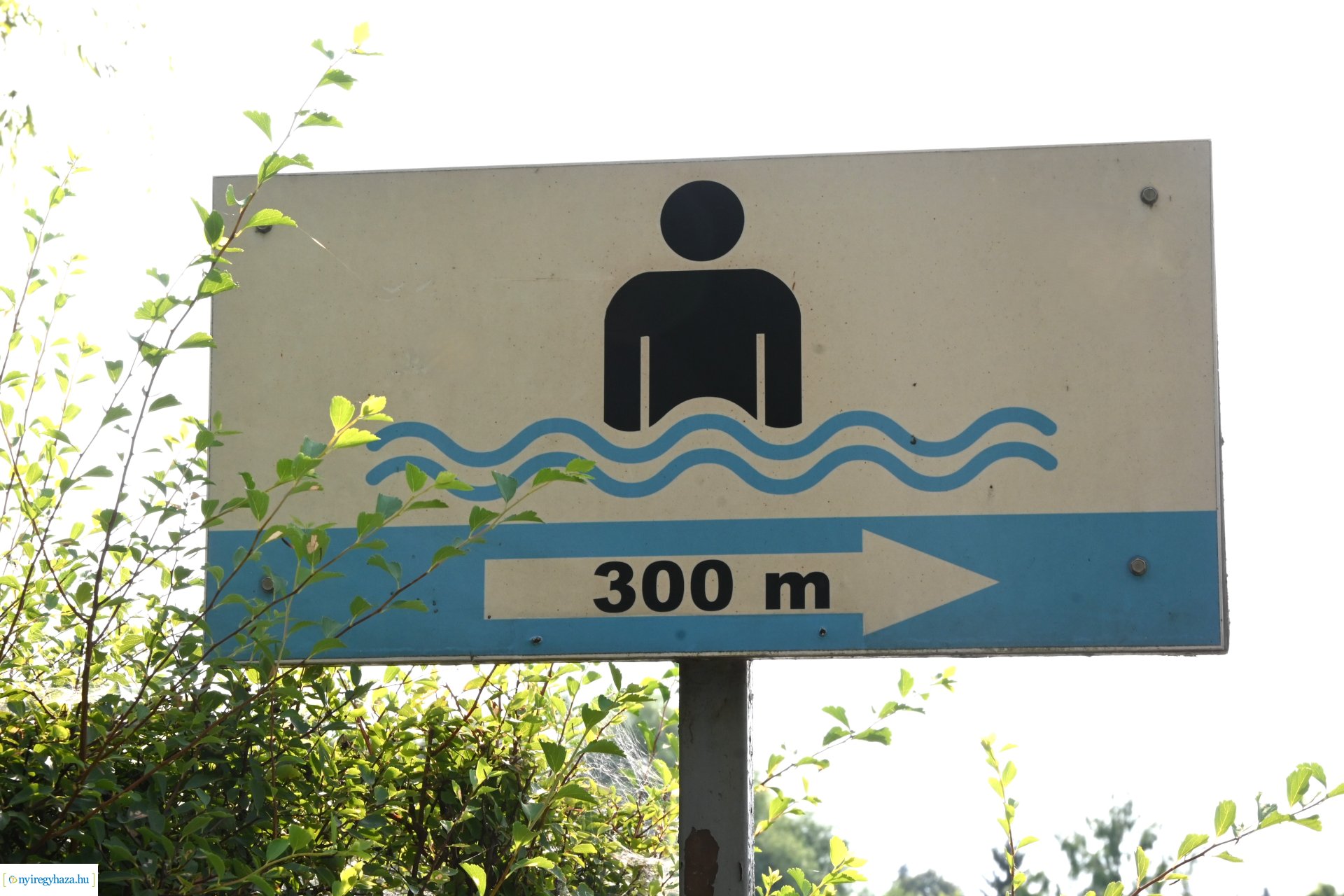 Vízminőség ellenőrzés a Tófürdőn