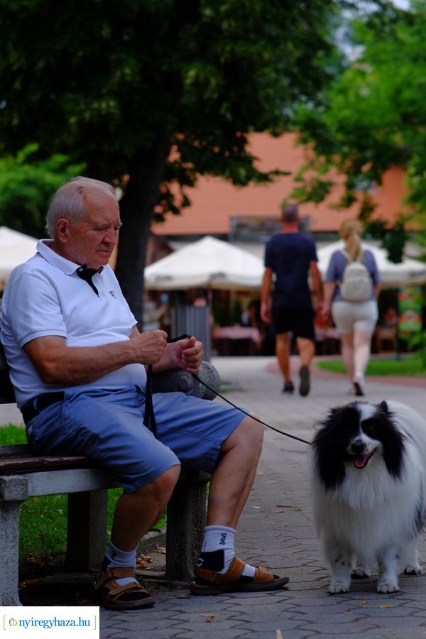 Zene Sóstón 20230719