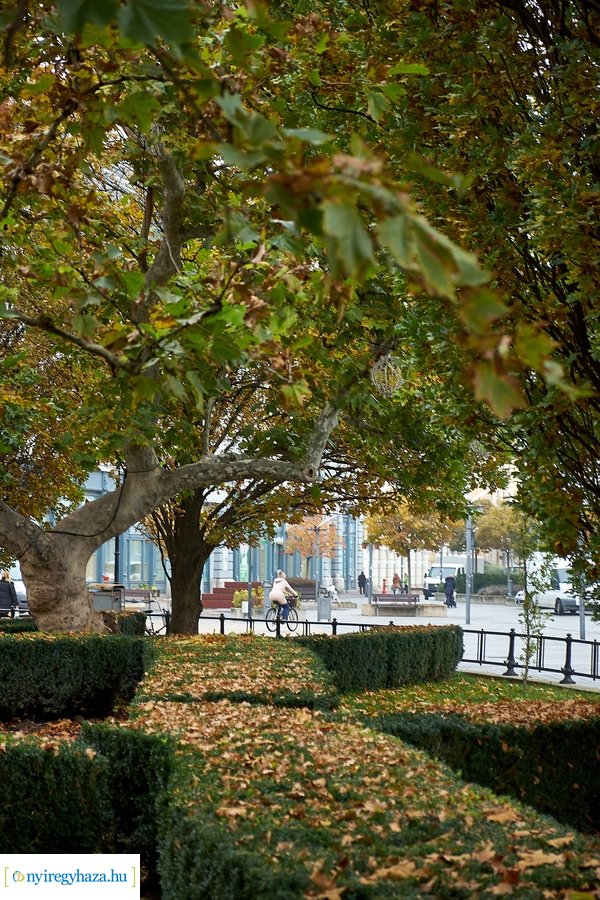 Zöld Busz program 2020