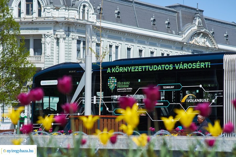 Zöld Busz Program - MAN LION'S City