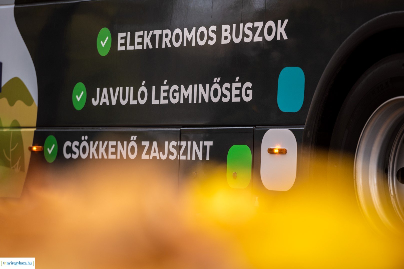 Zöld Busz Program Nyíregyházán