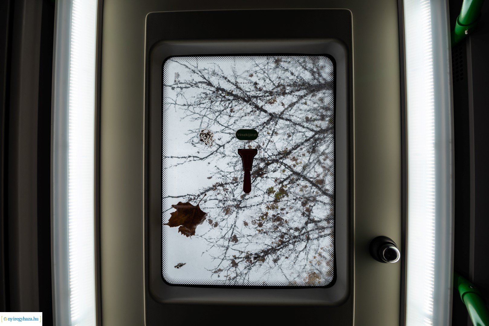 Zöld Busz Program Nyíregyházán