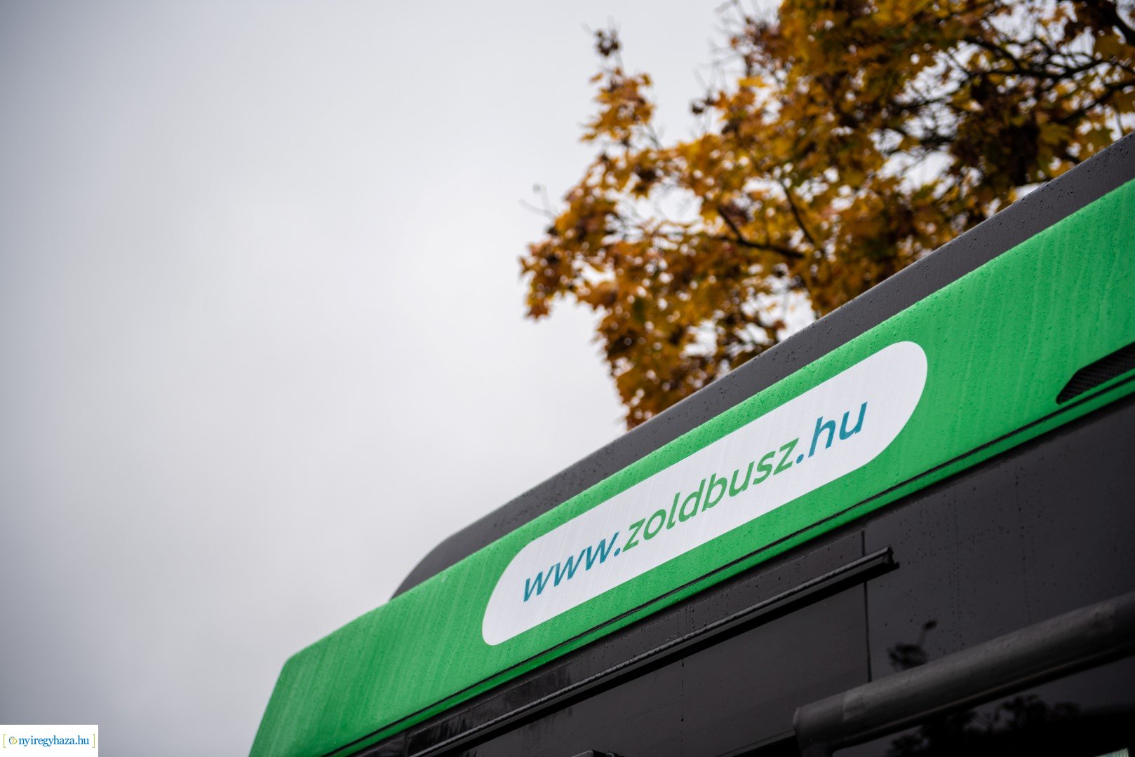 Zöld Busz Program Nyíregyházán