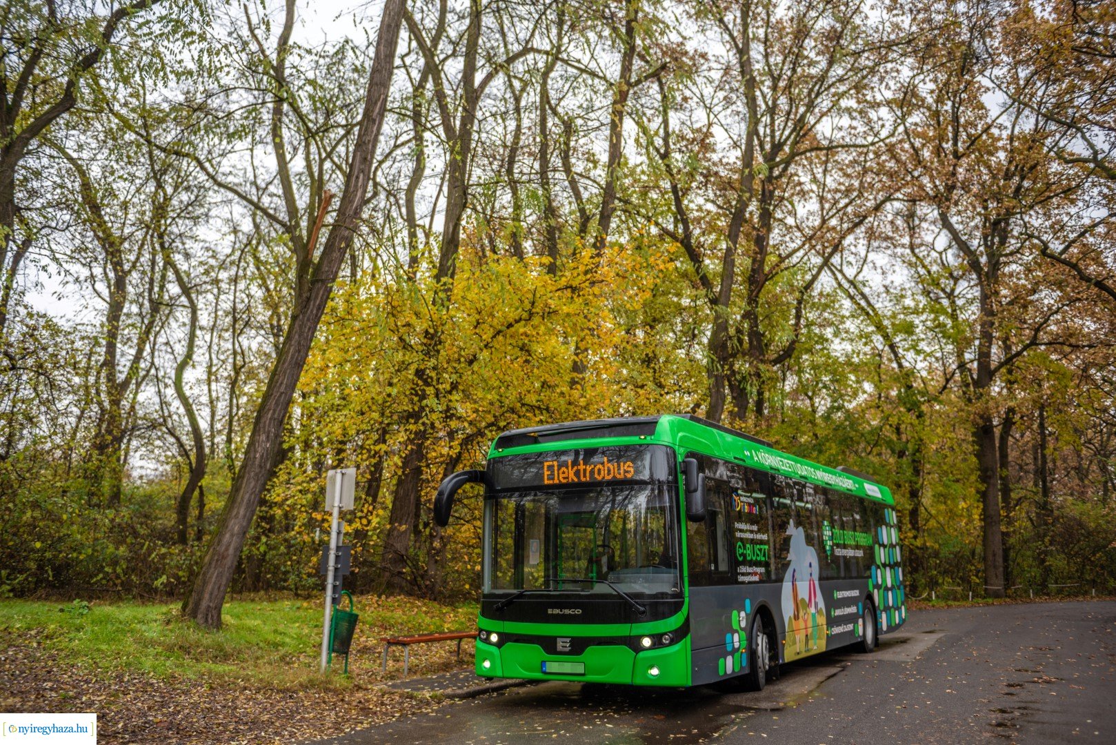 Zöld Busz Program Nyíregyházán